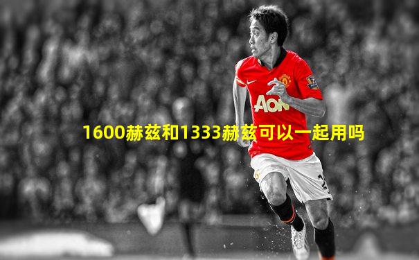 1600赫兹和1333赫兹可以一起用吗