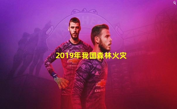 2019年我国森林火灾