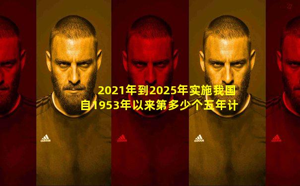 2021年到2025年实施我国自1953年以来第多少个五年计划