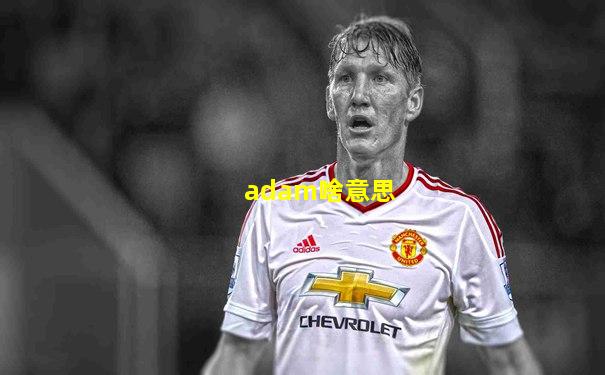 adam啥意思