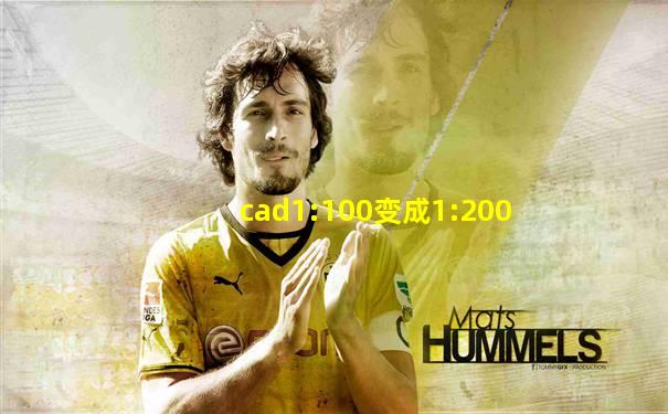 cad1:100变成1:200