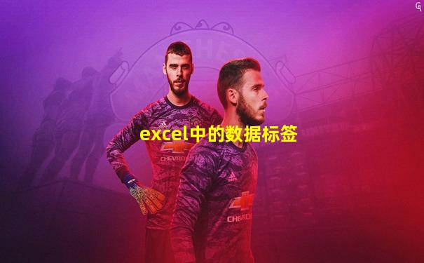excel中的数据标签