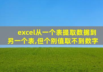 excel从一个表提取数据到另一个表,但个别值取不到数字