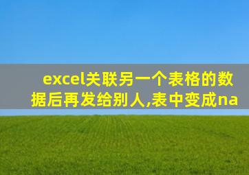 excel关联另一个表格的数据后再发给别人,表中变成na