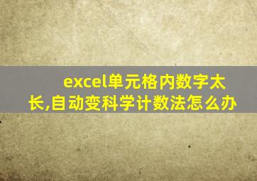 excel单元格内数字太长,自动变科学计数法怎么办