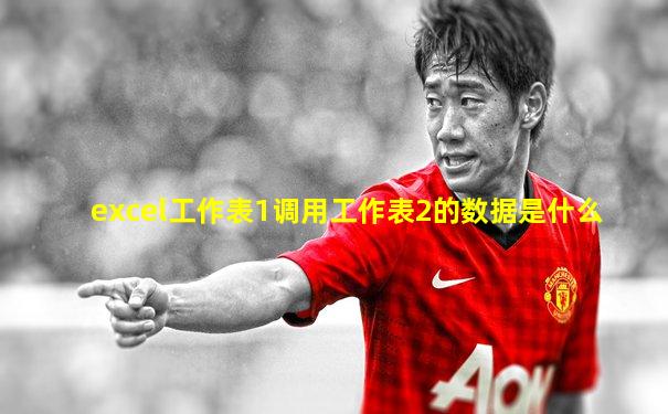 excel工作表1调用工作表2的数据是什么