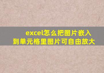 excel怎么把图片嵌入到单元格里图片可自由放大