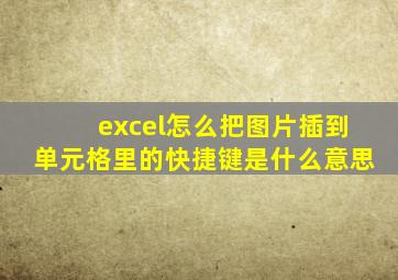 excel怎么把图片插到单元格里的快捷键是什么意思