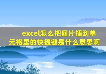 excel怎么把图片插到单元格里的快捷键是什么意思啊