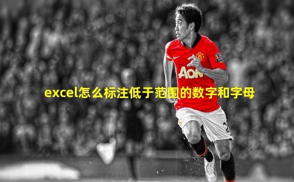 excel怎么标注低于范围的数字和字母