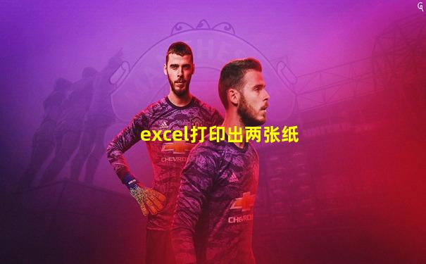 excel打印出两张纸