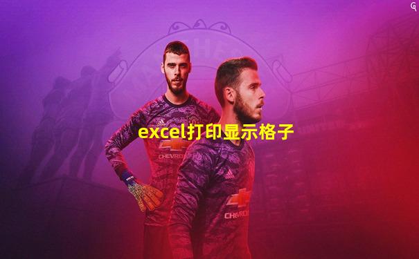 excel打印显示格子