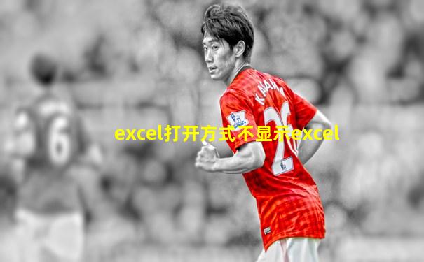 excel打开方式不显示excel