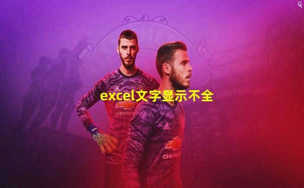 excel文字显示不全