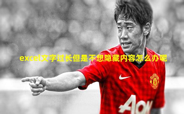 excel文字过长但是不想隐藏内容怎么办呢