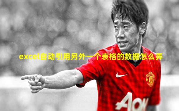 excel自动引用另外一个表格的数据怎么弄