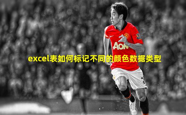 excel表如何标记不同的颜色数据类型