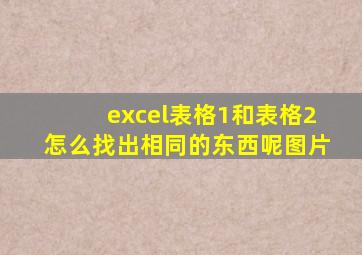 excel表格1和表格2怎么找出相同的东西呢图片