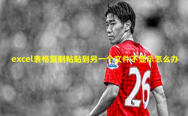 excel表格复制粘贴到另一个文件不显示怎么办