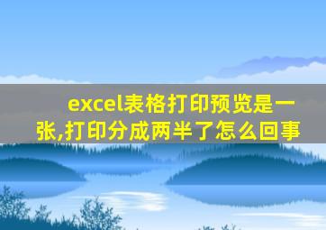 excel表格打印预览是一张,打印分成两半了怎么回事