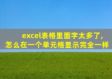 excel表格里面字太多了,怎么在一个单元格显示完全一样