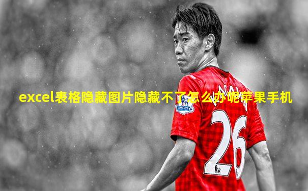 excel表格隐藏图片隐藏不了怎么办呢苹果手机