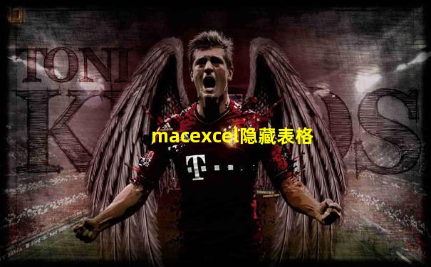 macexcel隐藏表格