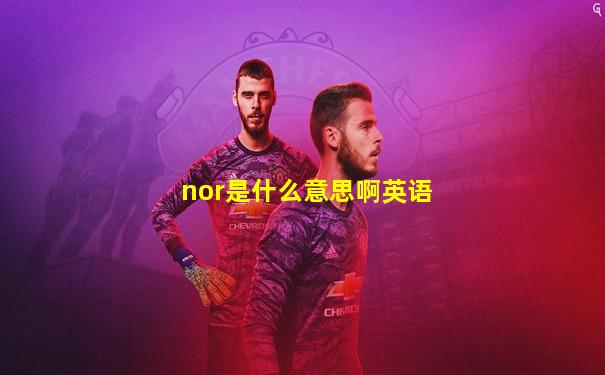 nor是什么意思啊英语