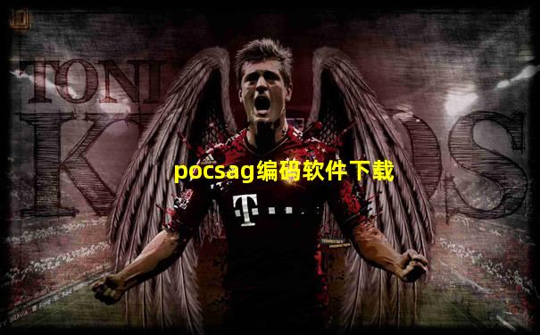 pocsag编码软件下载