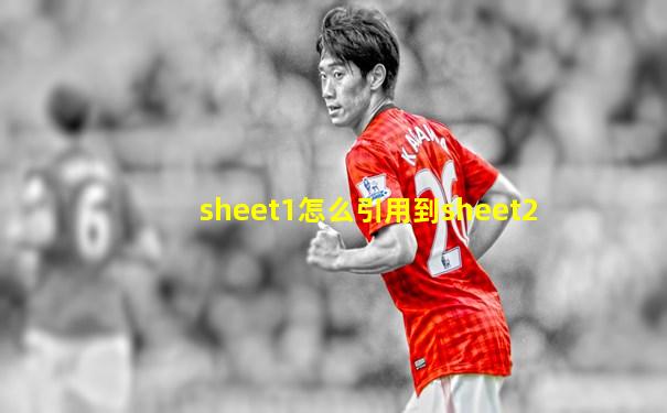 sheet1怎么引用到sheet2
