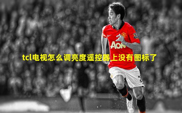 tcl电视怎么调亮度遥控器上没有图标了