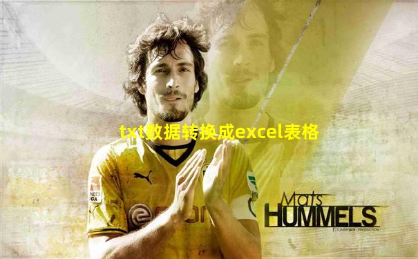 txt数据转换成excel表格