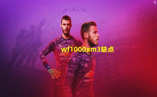 wf1000xm3缺点