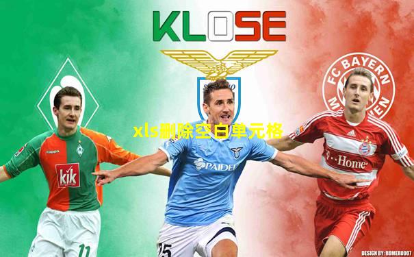 xls删除空白单元格
