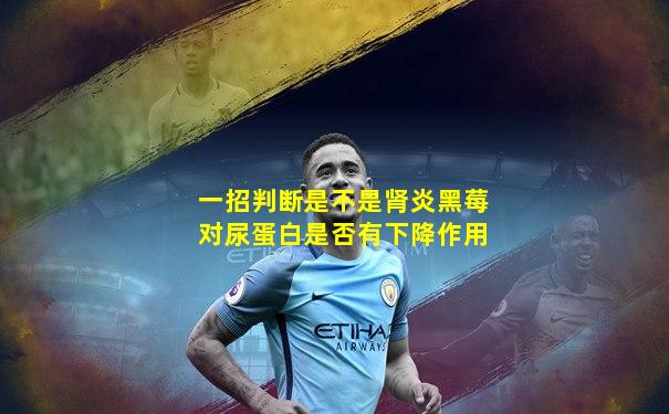 一招判断是不是肾炎黑莓对尿蛋白是否有下降作用