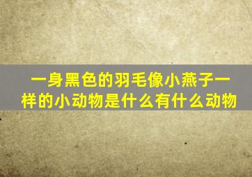 一身黑色的羽毛像小燕子一样的小动物是什么有什么动物