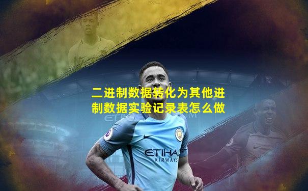 二进制数据转化为其他进制数据实验记录表怎么做