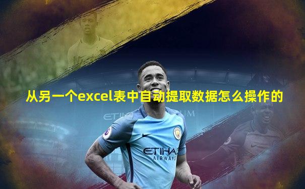 从另一个excel表中自动提取数据怎么操作的