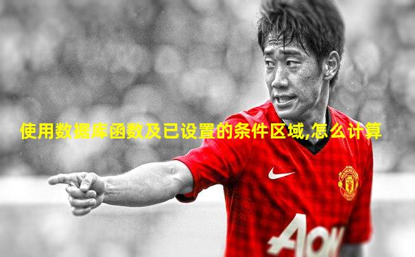 使用数据库函数及已设置的条件区域,怎么计算