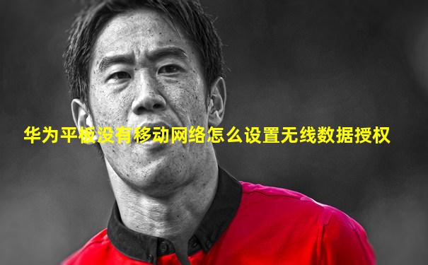 华为平板没有移动网络怎么设置无线数据授权