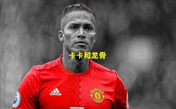 卡卡和龙骨