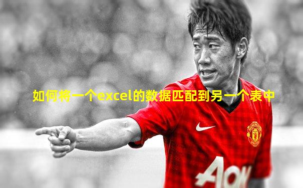 如何将一个excel的数据匹配到另一个表中