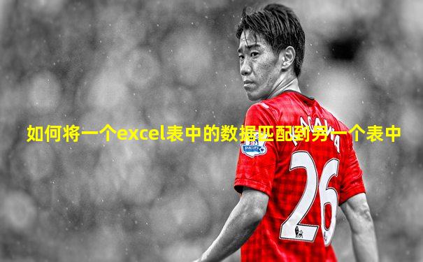 如何将一个excel表中的数据匹配到另一个表中