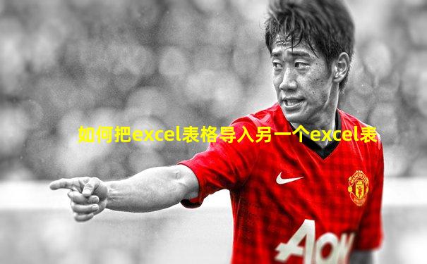 如何把excel表格导入另一个excel表