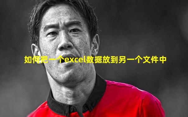 如何把一个excel数据放到另一个文件中