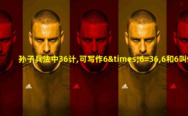 孙子兵法中36计,可写作6×6=36,6和6叫做什么