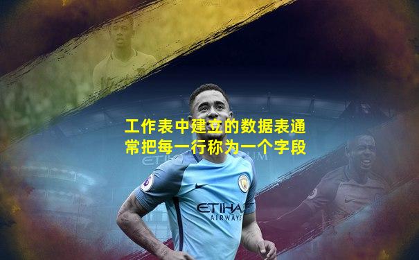 工作表中建立的数据表通常把每一行称为一个字段