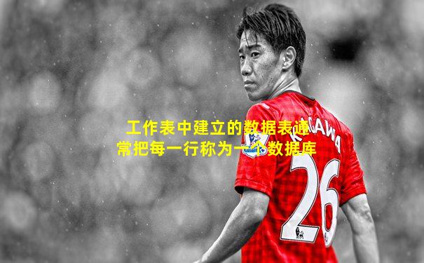 工作表中建立的数据表通常把每一行称为一个数据库