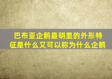 巴布亚企鹅最明显的外形特征是什么又可以称为什么企鹅