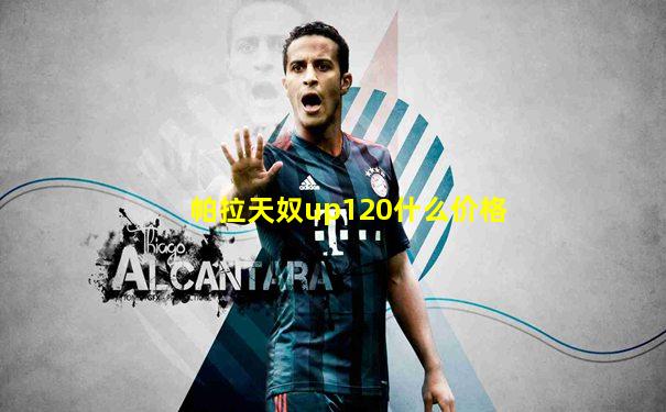 帕拉天奴up120什么价格
